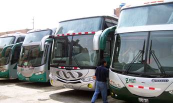 Flota de buses de la Empresa de transporte Z Buss