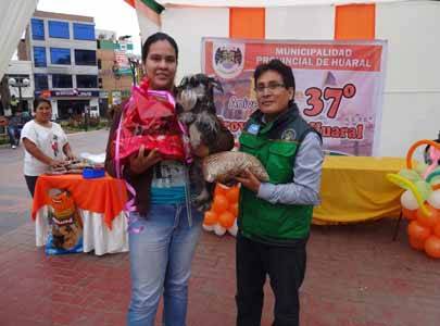 Concurso Canino