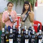vendimia 2014