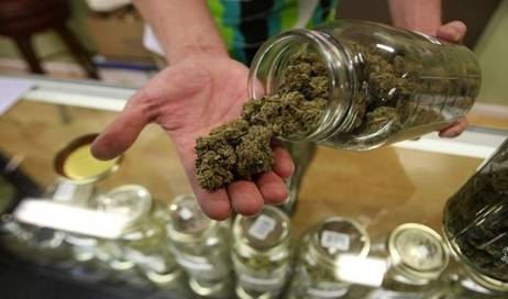 Gobierno presentará proyecto para legalizar el uso medicinal de la marihuana