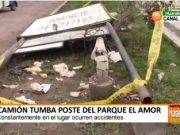 Camión tumba poste del parque el Amor – Huaral