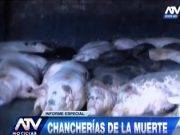 Chancherias de la muerte en Chancay (Primera Parte)