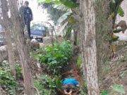 Mujer es hallada muerta en el Km. 6.5 de la carretera Huaral – Chancay