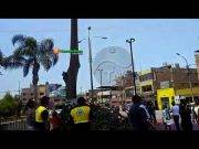 Al caer rama de árbol asusto a transeúntes en la plaza de armas de Huaral