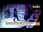 Cámaras registraron robo en veterinaria en Circunvalación Sur – Huaral