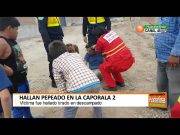 Hallan pepeado en la Caporala 2 – Huaral
