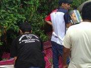 Camión con carga de paltas se volcó camino al C.P. la Quincha