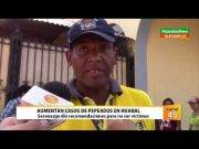 Aumentan casos de pepeados en Huaral serenazgo dio recomendaciones para no ser víctimas (Video)