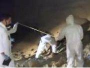 Hallan restos óseos en un descampado de Chilca
