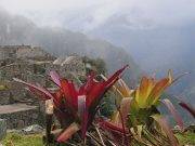 SENAMHI: Condiciones para el otoño 2018
