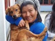 MDCH realizará segunda campaña de esterilización de mascotas