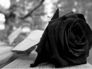 Madre del ex regidor Javier Zevallos Zerpa falleció hoy en Lima