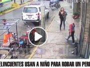 Camaras de vigilancia graba a mujer y a menor robando una mascota en Chancay (Video)