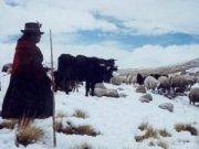 Distrito tacneño de Tarata soportó la temperatura más baja del país