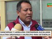 Chancherías y ladrilleras contaminan Aucallama