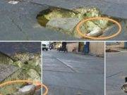 Grandes ratas en forado frente al Mercado Central de Huacho