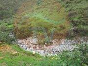 Habría una grave contaminación del agua que consumen los huaralinos FOTOS