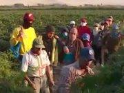 Venezolanos denuncian explotación laboral en campos de Casma
