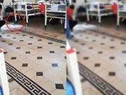 Hospital Dos de Mayo: vídeo muestra a roedor en sala de nosocomio