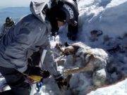 Rescatan cuerpos de alpinistas en la cima más alta de México 59 años después