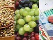 Conoce las mejores cábalas para recibir el 2019
