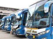 Risi Bus nuevamente en las pistas de Huaral a Lima. (Video)