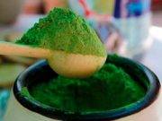 Harina de coca tendría más calcio que la leche y proteína que la quinua