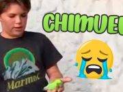 VIRAL: «Adiós chimuelo» Lo que iba a ser un tierno entierro de una cotorra terminó en algo gracioso.