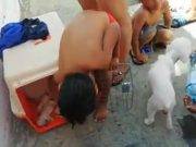 ¡INDIGNANTE! Denuncian a empresa de transporte que trasladaban a perritos en la bodega de un bus.