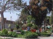 Se inició campaña de recuperación de áreas verdes en la provincia de Huaral.