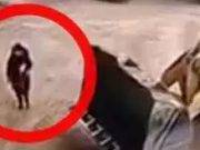 Maquinista sepulta viva a mujer y la hace triturar por accidente en cantera de arena