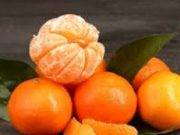 Exportación: Mandarinas peruanas llegarán a Japón