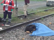 Conmovedor: Perrito cuida el cadáver de su dueño tras atropellado por un tren