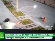 CHANCAY: Familia busca justicia para mascota que murió tras ataque de un agresivo perro pitbull