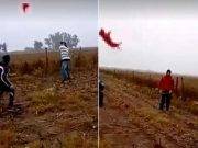 ARGENTINA: ¡Desalmados! Un grupo de personas mató a un perro al usarlo como una pelota de béisbol