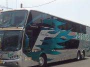 ¡Atención! Servicios de “Zbuss” continuarán suspendidos