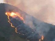 Arde la selva peruana en Chanchamayo (Video y Fotos)