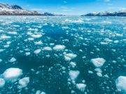 Deshielo por cambio climático dispersa un virus mortal en las aguas del Atlántico y el Pacífico
