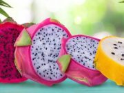 La pitahaya una maravillosa fruta del dragón