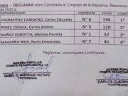 Candidatos de la región Lima-provincias de Acción Popular para el congreso 2020.