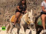 Usuarios denuncian que burros son usados para transportar turistas con sobrepeso