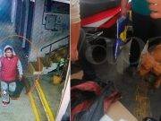 Buscan a ladrones que mataron a cuchilladas a perro en Barranca