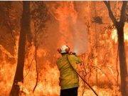 Incendios forestales en Australia emiten contaminantes que se dirigen a cielo peruano