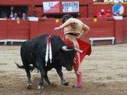 Tribunal Constitucional: se mantienen corridas de toros y peleas de gallos