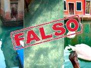 National Geographic: Vídeos de animales recuperando la naturaleza son falsos