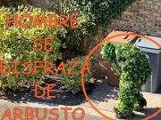 Hombre se disfraza de arbusto para burlar la cuarentena por coronavirus