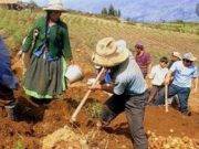 Bono rural 2020: ¿cuándo y cómo cobrar los 760 soles?