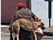 Indigente carga a un perro en su espalda para evitar que se queme las patitas
