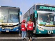 Transporte interprovincial: ¿Qué hacer si durante el viaje un pasajero presenta síntomas de Covid-19?