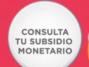 Bono Universal: personas que logren inscribirse en plataforma Reniec recibirán nuevo subsidio